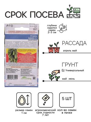 Семена Огурец Адам F1, 5 шт.