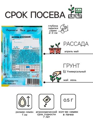 Семена Огурец "Кустовой", 0,5 г