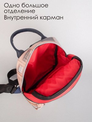 Рюкзак AMELI 2