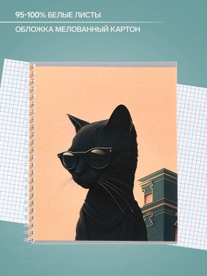Тетрадь 48 листов в клетку на гребне, Calligrata «Чёрный Кот», МИКС