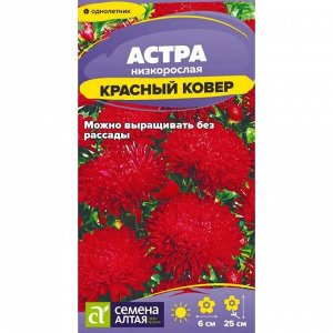 Астра Красный Ковер низкорослая 0,1 гр