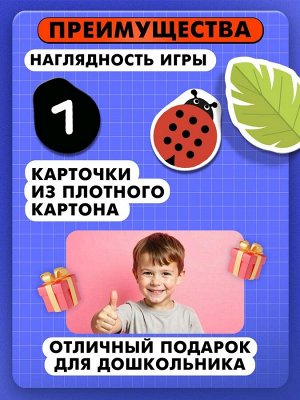 Развивающий набор «Числовые букашки»
