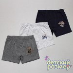 Боксеры