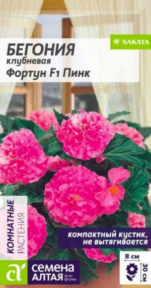 Бегония Фортун F1 Пинк клубневая 4 шт. НОВИНКА