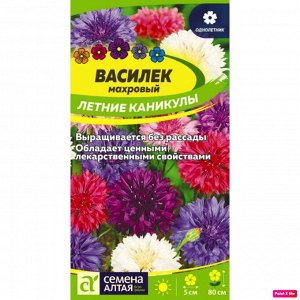 Василек Летние каникулы смесь 0,3гр