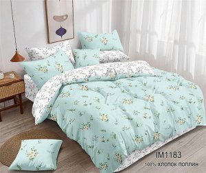 Постельное белье из Поплина Зима-лето - ЗЛ-211 2 спальный с европростыней