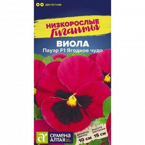 Виола Пауэр F1 Ягодное чудо 5 шт. Низкорослые гиганты