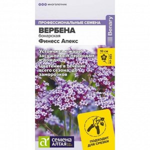 Вербена Финесс Апекс бонарская 5 шт. НОВИНКА