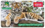 Транспортная карта