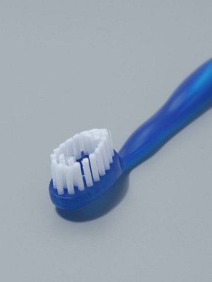 Зубная щётка, с зубной нитью, 10.5 см, набор - 2 шт., синяя