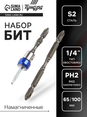 Набор бит ТУНДРА, сталь S2, круглый магнит, двухсторонняя, PH2x65 и 100 мм, 2 шт.