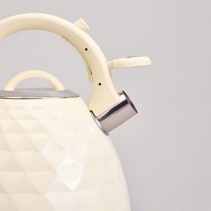 Чайник AGNESS Premium Steel 3,3 л с термоаккумулирующим дном и удобным свистком, 1 шт.