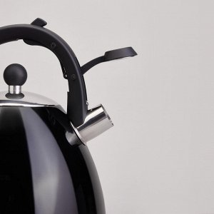 Чайник AGNESS Premium Steel 3,2л с термоаккумулирующим дном, мерной шкалой и свистком, 1 шт.