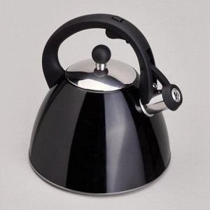 Чайник AGNESS Premium Steel 3,2л с термоаккумулирующим дном, мерной шкалой и свистком, 1 шт.