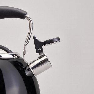 Чайник AGNESS ThermoSteel 2.9L с капсульным дном, свистком и складной ручкой, 1 шт.
