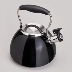Чайник AGNESS ThermoSteel 2.9L с капсульным дном, свистком и складной ручкой, 1 шт.
