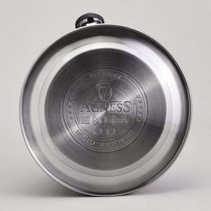 Чайник AGNESS ThermoSteel 3,3 л с капсульным термоаккумулирующим дном и удобным свистком, 1 шт.