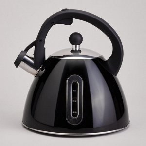 Чайник AGNESS Premium Steel 3,2л с термоаккумулирующим дном, мерной шкалой и свистком, 1 шт.