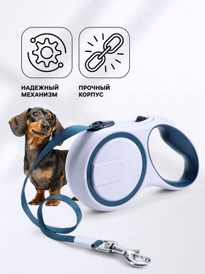 Рулетка с системой эффективного скручивания поводка, 5 м, до 20 кг, серо-синяя