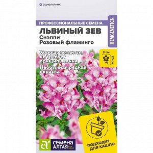 Львиный зев Снэппи Розовый фламинго 7 шт