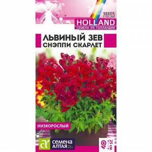 Львиный зев Снэппи Скарлет 7 шт