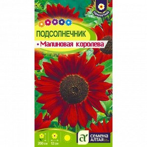 Подсолнечник Малиновая Королева 0,3 гр