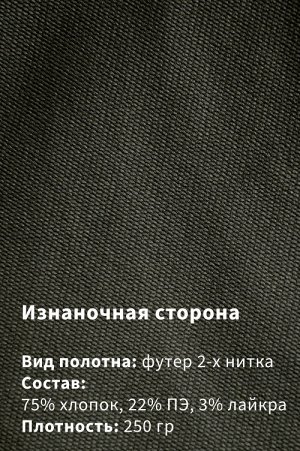 Арт. 63102 Брюки мужские 48-56 (5 шт)