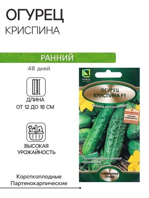 Семена Огурец Криспина, F1, 12шт