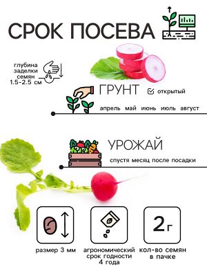 Семена Редис "Розово-красный с белым кончиком", 2 г
