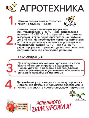 Семена Редис "Розово-красный с белым кончиком", 2 г