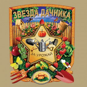 Футболка Футболка "Лучший дачник" №335 ОСТАТКИ СЛАДКИ!!!!