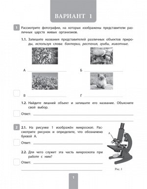 Всероссийская проверочная работа 2020 .Биология 6 класс