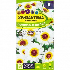 Хризантема килеватая Полярная Звезда 0,1г СА цв/п