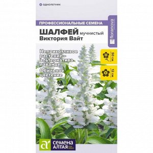 Шалфей Виктория Вайт мучнистый 10 шт. НОВИНКА