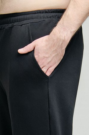 Арт. 63107 Брюки мужские 50-58 (5 шт)