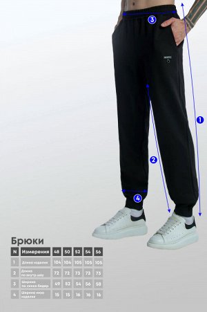 Арт. 63104 Брюки мужские 48-56 (5 шт)