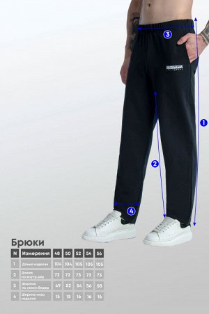 Арт. 63100 Брюки мужские 48-56 (5 шт)