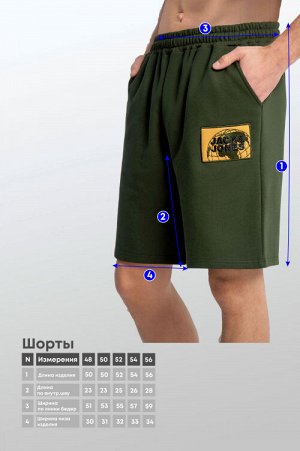 Арт. 65502 Шорты мужские 48-56 (5 шт)