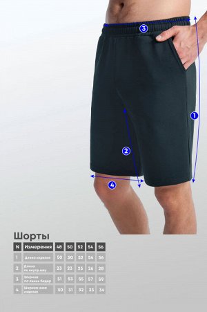 Арт. 63508 Шорты мужские 48-56 (5 шт)