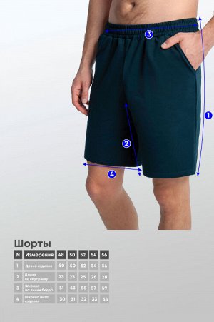 Арт. 63502 Шорты мужские 48-56 (5 шт)