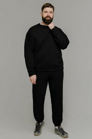 Арт. 69105 Костюм с брюками мужской с начесом 48-56 (5 шт)