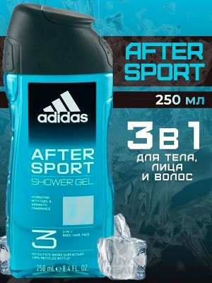 Гель для душа After sport 3 в 1 лицо волосы тело 250мл мужской