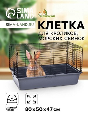 Клетка для кроликов, морских свинок "Пижон" №4 складная , 80 х 50 х 47 см, светло-серая