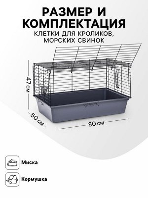 Клетка для кроликов, морских свинок "Пижон" №4 складная , 80 х 50 х 47 см, светло-серая