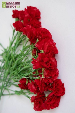 Гвоздика Имитация живого цветка.
Высота - 63 см.
Диаметр бутонов - 8 см.
Материал - силикон.
ЦЕНА ЗА 1ШТ!
