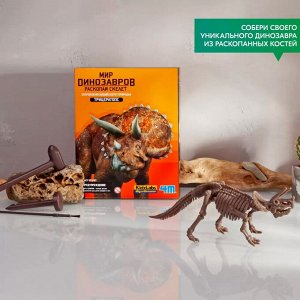 Набор (Конструктор) Раскопай скелет, Трицератопс
