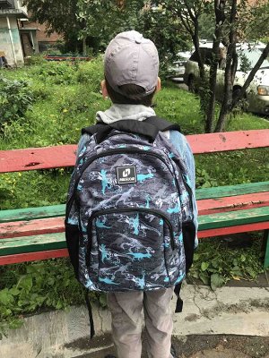Рюкзак школьный Haslor Дино, 2 отделения, 42 см