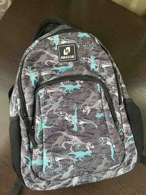 Рюкзак школьный Haslor Дино, 2 отделения, 42 см
