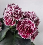 ЛФ - Лесные ягоды