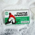 Молочный шоколад «Счастье приносин», 27 г